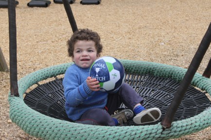 Pudding sitting in a bucket swing holding a ball.