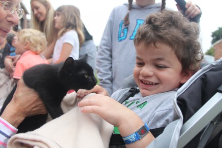 Pudding in his buggy being handed a black kitten on a blanket.