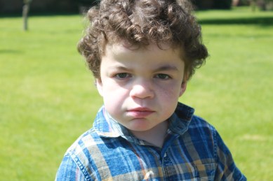 Pudding in a check shirt frowning slightly at the camera.