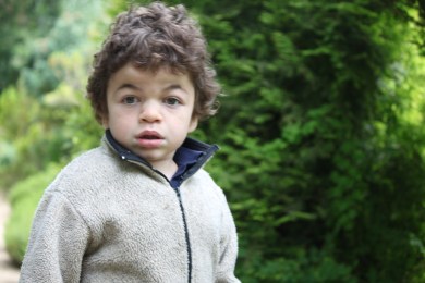 Pudding in front of some greenery. He looks a little pensive or worried.
