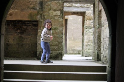 Pudding looking back at the camera whilst he heads out of a ruined castle archway
