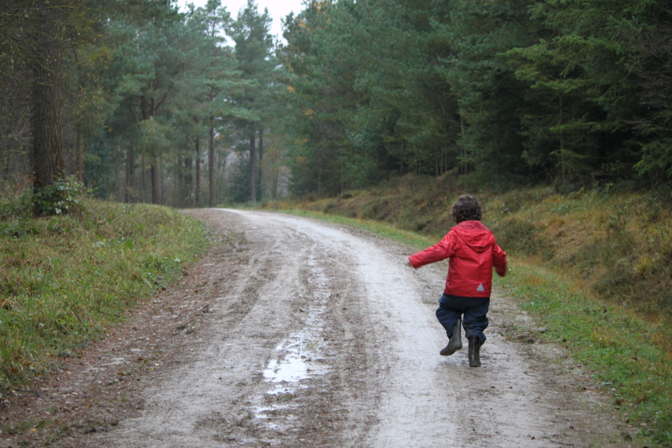 Pudding in red waterproofs running away along a forest path.