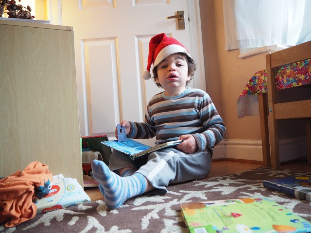 Pudding wearing a Christmas hat surrounded by books.
