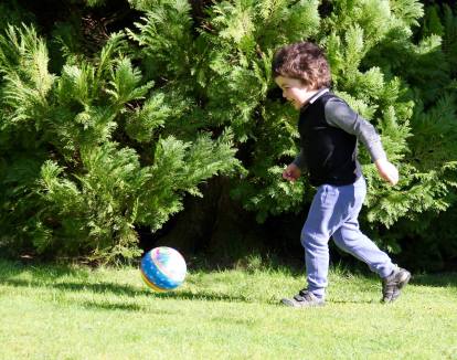 Pudding in the garden chasing a ball with a big grin on his face.