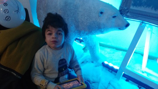 Pudding in front of a large model polar bear.