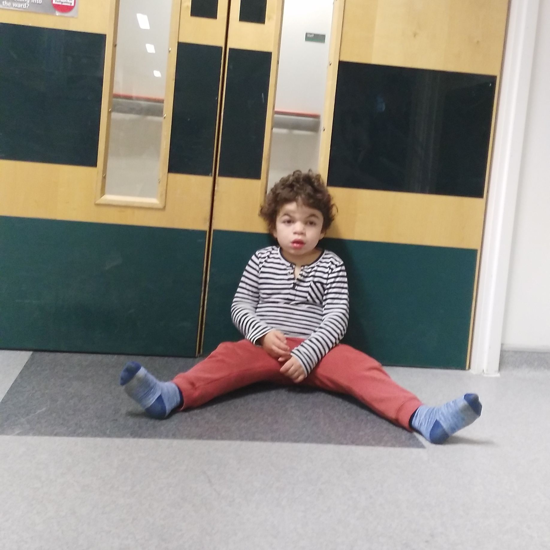 Pudding sitting on the floor by hospital ward doors.