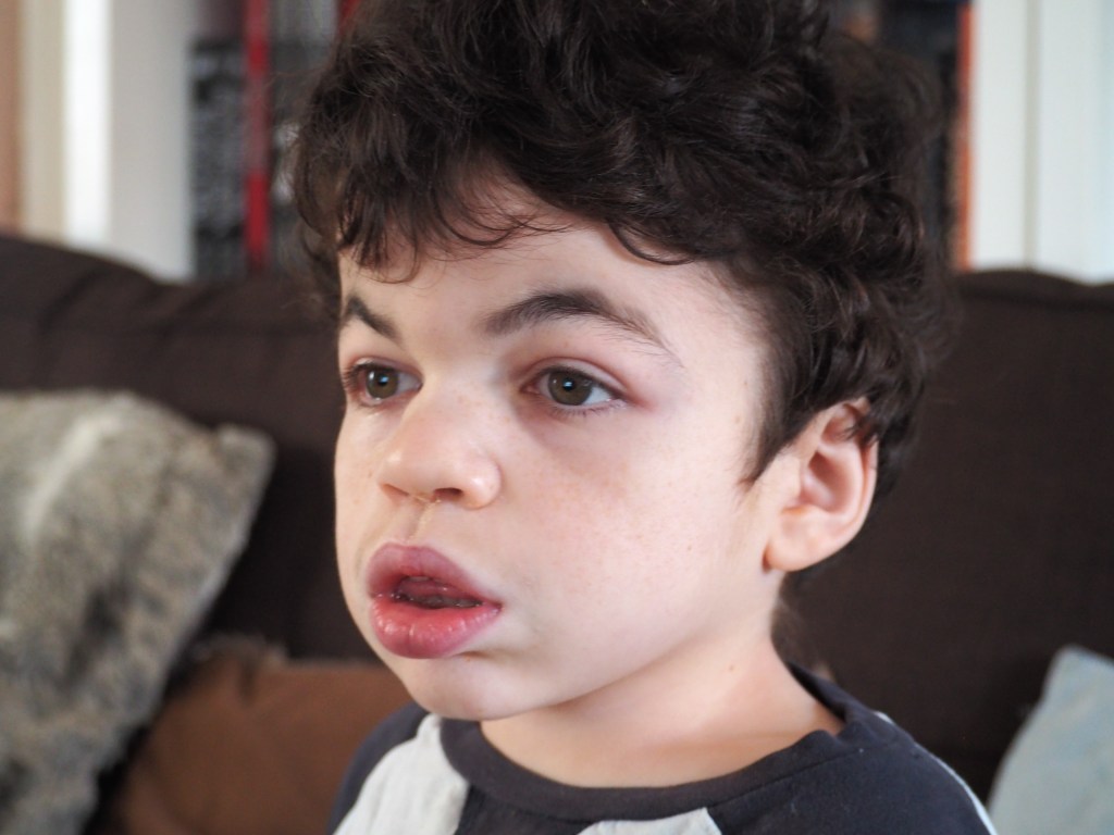 Close-up of Pudding's face - he is looking with concentration at something off the screen.